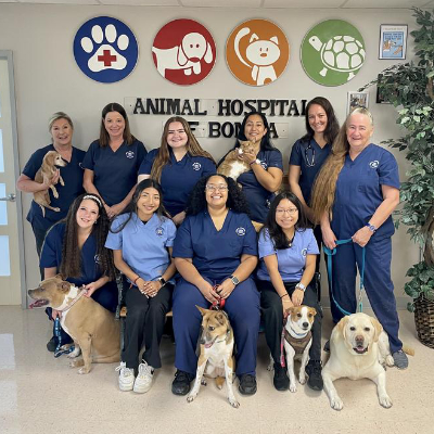 Our Staff